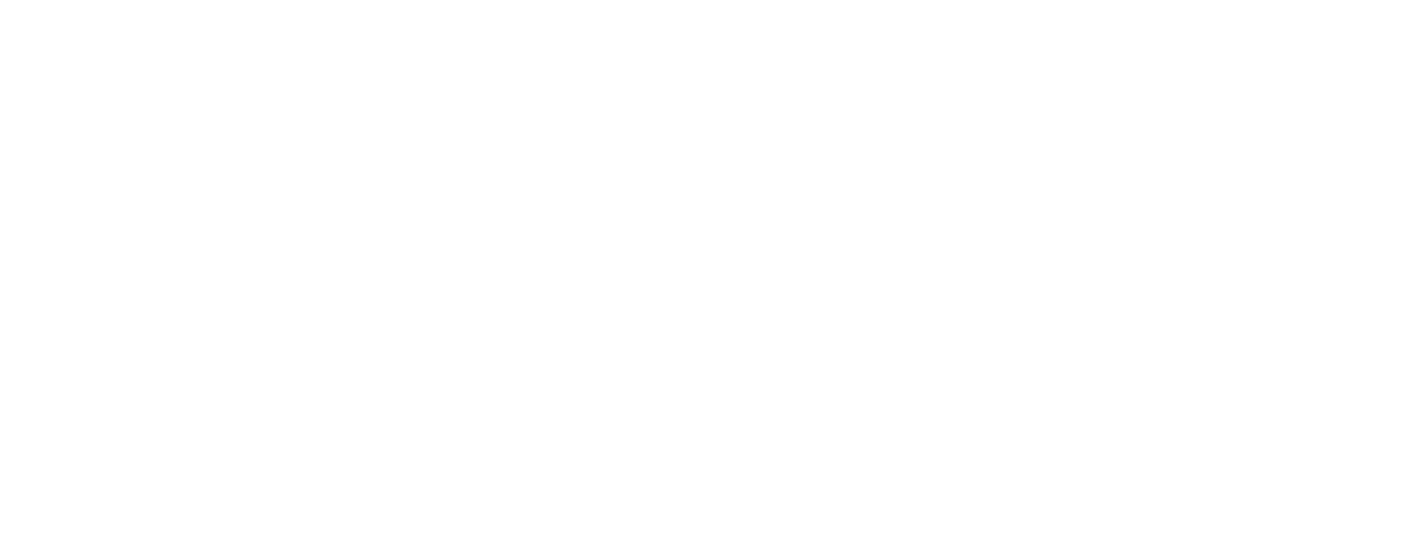 logo swallow nl white 2000.png