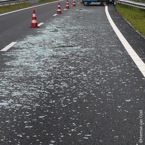 IMG 7879 ©Herman van Oost 499x499 1.jpg