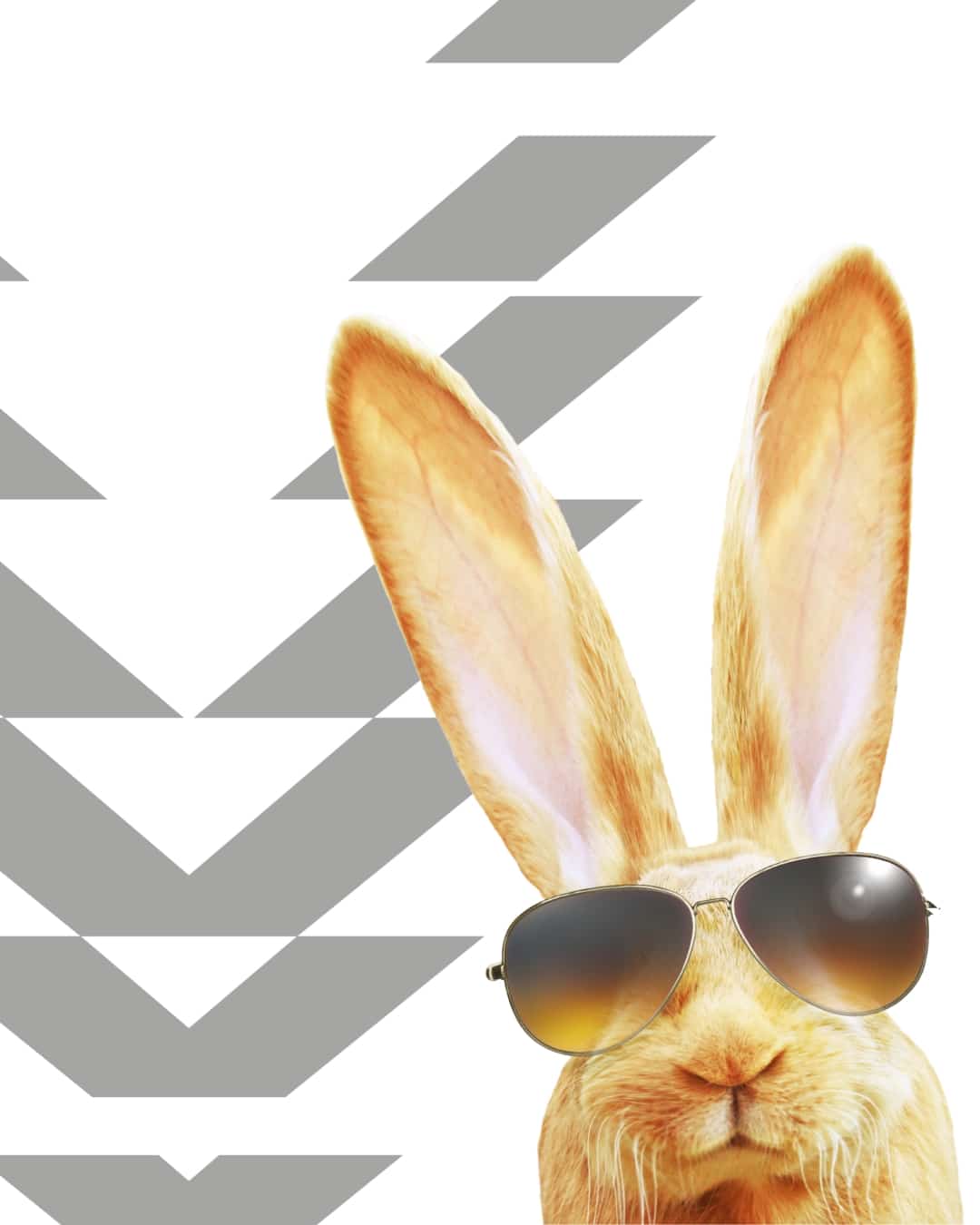 Aangepaste dienstverlening - Vandaglas bv