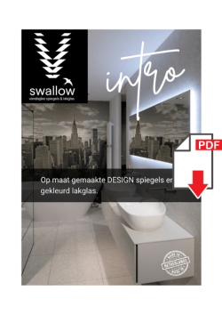 Download Brochure Swallow Intro PDF 05-2024